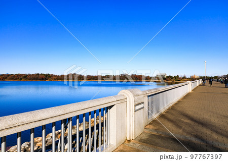 東京都東大和市　村山貯水池（多摩湖）の堤体からの風景 97767397