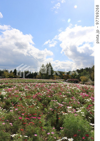 広島　備北丘陵公園 97769268