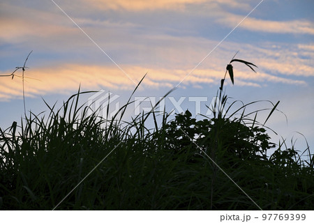 夕焼け 夕暮れ 空 素材 【神奈川県】 97769399