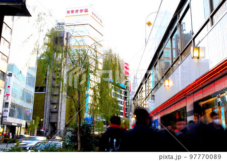 シンボルロード 西銀座通り 柳の木 シンボルロード 西銀座通り 柳の木 97770089