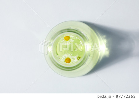 Concept of biology research with flowers, top view 97772265