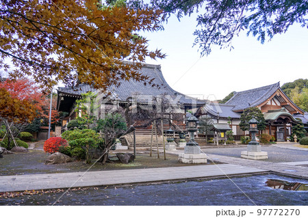 江戸氏ゆかりの慶元寺(世田谷区) 江戸氏ゆかりの慶元寺(世田谷区) 97772270