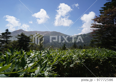 群馬県 草津白根山 渋峠から芳ケ平へ下る登山道 芳ケ平方面 背景は白根山 2022年9月16日 群馬県 草津白根山 渋峠から芳ケ平へ下る登山道 芳ケ平方面 背景は白根山 2022年9月16日 97772586