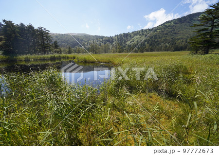 群馬県　草津白根山 　芳ケ平湿原　　2022年9月16日 97772673
