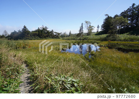 群馬県 草津白根山 芳ケ平湿原 2022年9月16日 群馬県 草津白根山 芳ケ平湿原 2022年9月16日 97772680