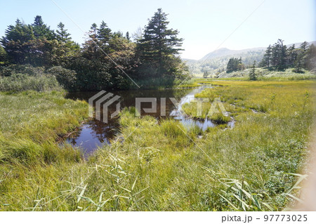 群馬県　草津白根山 　芳ケ平湿原　　2022年9月16日 97773025