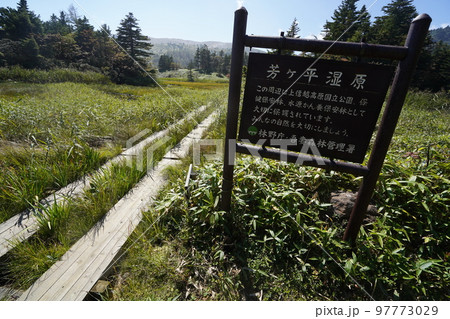 群馬県　草津白根山 　芳ケ平湿原　　2022年9月16日 97773029