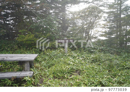 群馬県　草津白根山 　芳ケ平湿原　キャンプ場付近　　2022年9月16日 97773039