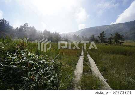 群馬県　草津白根山 　芳ケ平湿原　　2022年9月16日 97773371