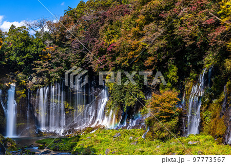 【静岡県・富士宮市】白糸の滝 秋編 11月 【静岡県・富士宮市】白糸の滝 秋編 11月 97773567