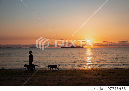 夕暮れの砂浜で犬を連れて散歩する人のシルエット 夕暮れの砂浜で犬を連れて散歩する人のシルエット 97773978