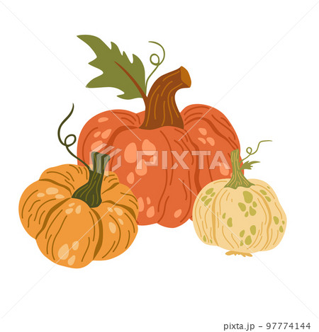 Pumpkins. Autumn composition with pumpkins. Fresh vegetables. Harvesting. Invitation to the Thanksgiving of the autumn season. Vector flat cartoon illustration isolated on the white background. Pumpkins. Autumn composition with pumpkins. Fresh vegetables. Harvesting. Invitation to the Thanksgiving of the autumn season. Vector flat cartoon illustration isolated on the white background. 97774144