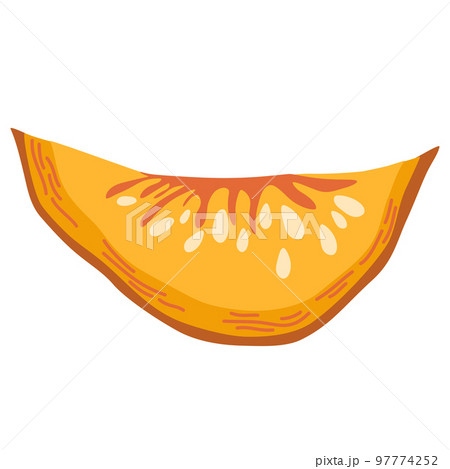 Pumpkin. Vegetables food. Pumpkin shapes with leaves, half with seeds and slices. Autumn, fall, thanksgiving and Halloween decoration. Hand draw vector cartoon illustration Pumpkin. Vegetables food. Pumpkin shapes with leaves, half with seeds and slices. Autumn, fall, thanksgiving and Halloween decoration. Hand draw vector cartoon illustration 97774252