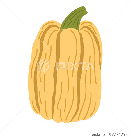 Pumpkin. Vegetables food. Autumn, fall, thanksgiving and Halloween decoration. Hand draw vector cartoon illustration isolated on the white background. 97774255