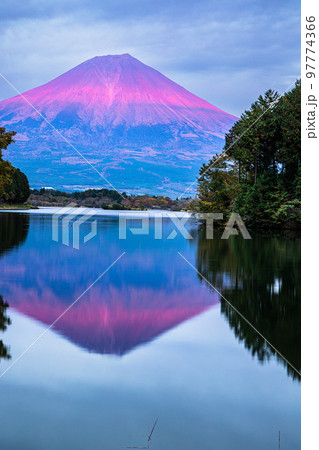 【静岡県･富士宮市】夕暮れ刻の田貫湖・富士山の姿  11月、 97774366