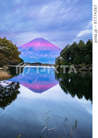 【静岡県･富士宮市】夕暮れ刻の田貫湖・富士山の姿  11月、 97774367