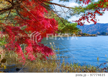 山梨県富士河口湖町 紅葉シーズンの河口湖 山梨県富士河口湖町 紅葉シーズンの河口湖 97774635