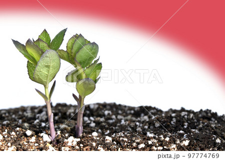 原発事故 核は全てを破壊する 原発事故 核は全てを破壊する 97774769