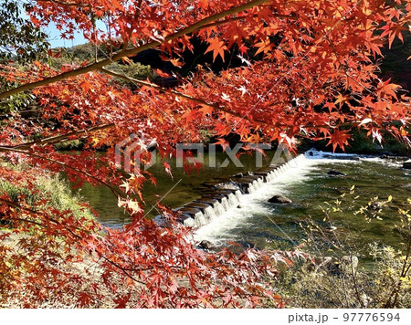 紅葉の巴川〈香嵐渓/愛知県豊田市足助町〉 97776594