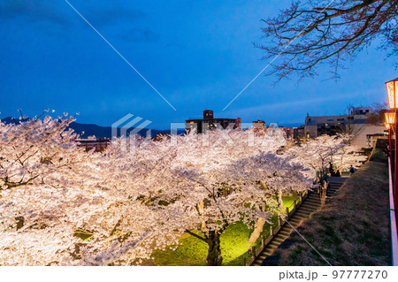 岩手県盛岡市・盛岡城跡公園の桜 97777270
