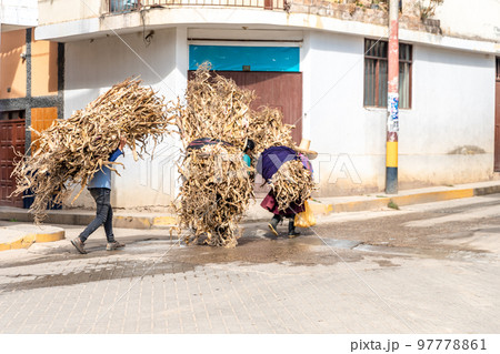 people carry bales of straw on their backs down the street 97778861