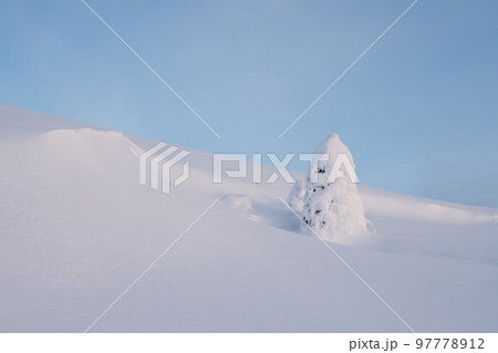 Winter snow-covered minimalistic landscape. Minimalistic landscape with a lonely wrapped in snow tree in a winter field. Christmas holidays and winter vacations background. Winter snow-covered minimalistic landscape. Minimalistic landscape with a lonely wrapped in snow tree in a winter field. Christmas holidays and winter vacations background. 97778912