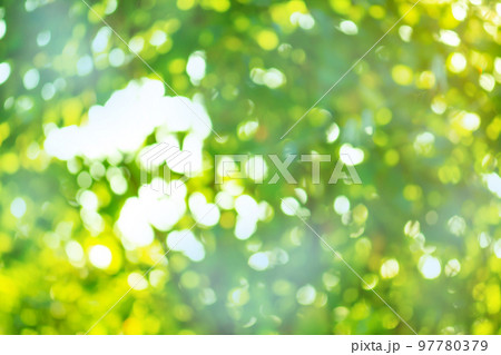 Fresh spring bokeh and sunlight natural background Fresh spring bokeh and sunlight natural background 97780379
