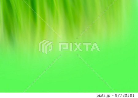 Juicy fresh green grass as a spring blurred background. Juicy fresh green grass as a spring blurred background. 97780381