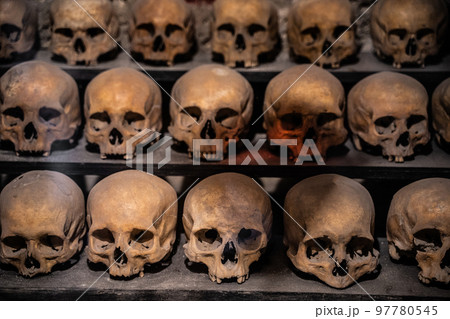 many skulls are human many skulls are human 97780545