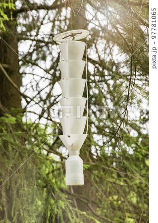 trap for insects and beetles. A trap for pests and insects hangs on a tree in the garden. Catching a bark beetle with a pheromone trap trap for insects and beetles. A trap for pests and insects hangs on a tree in the garden. Catching a bark beetle with a pheromone trap 97781065