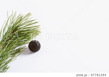 Spruce branch with Christmas tree toy ball. Winter holidays Spruce branch with Christmas tree toy ball. Winter holidays 97781264
