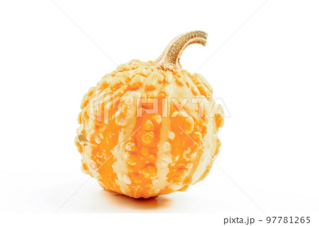 Decorative pumpkin isolated on a white background Decorative pumpkin isolated on a white background 97781265