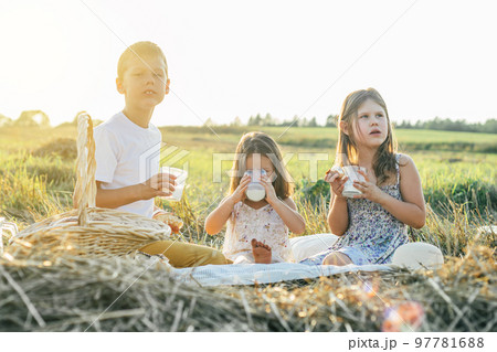 Portrait of cheery three kids sitting on blanket in field, having picnic lunch with milk and granary bread. Side view 97781688