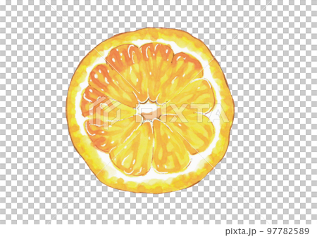 Lemon slice hand-drawn illustration Copic tea Lemon slice hand-drawn illustration Copic tea 97782589