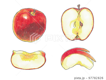 リンゴカットイラストセット コピックのイラスト素材 [97782826] - PIXTA