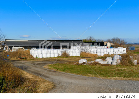 茨城県守谷市鬼怒川サイクリングロード2022年12月 茨城県守谷市鬼怒川サイクリングロード2022年12月 97783374
