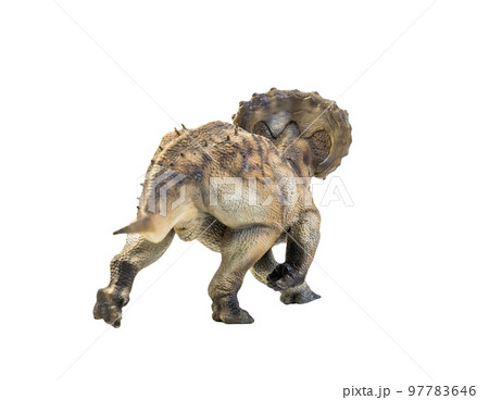 dinosaur , Triceratops on isolated background clipping path dinosaur , Triceratops on isolated background clipping path 97783646