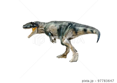 dinosaur , Giganotosaurus on isolated background clipping path dinosaur , Giganotosaurus on isolated background clipping path 97783647