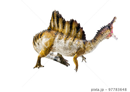 dinosaur , spinosaurus isolated background clipping path dinosaur , spinosaurus isolated background clipping path 97783648