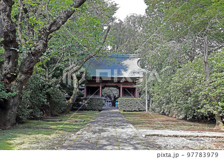 妙福寺（練馬） 97783979