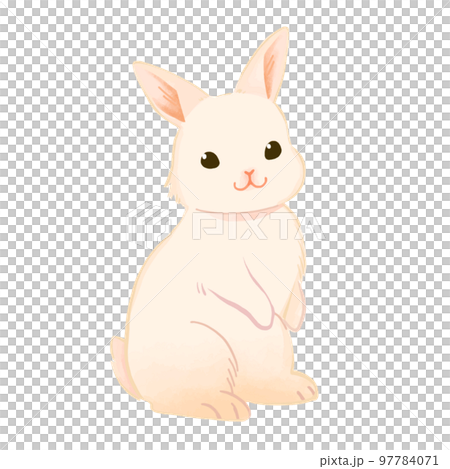 一隻可愛的兔子站起來看著你的插圖 97784071