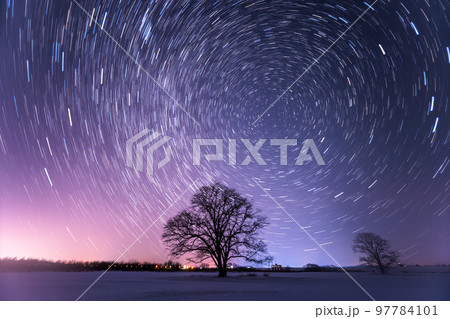 ハルニレの木 星の光跡風景 ハルニレの木 星の光跡風景 97784101