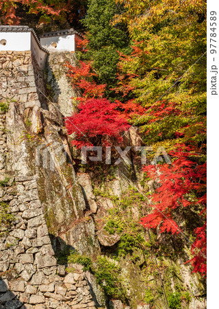 秋の備中松山城~大手門跡~ 秋の備中松山城~大手門跡~ 97784589