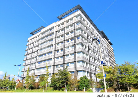 【香川県】秋空の黄葉した高松サンポート合同庁舎(サンポート高松) 97784803