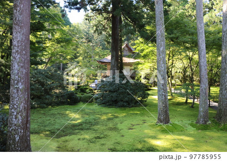 苔むす大原三千院 苔むす大原三千院 97785955