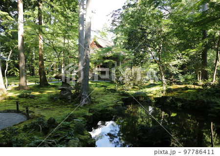 苔むす大原三千院 97786411