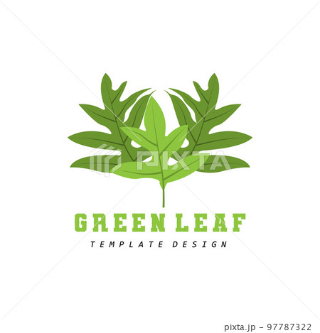 Leaf Logo Green Plant Design Leaves Of Trees Product Brand Template Illustration Leaf Logo Green Plant Design Leaves Of Trees Product Brand Template Illustration 97787322