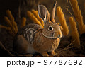 wild rabbit outside the autumn 97787692