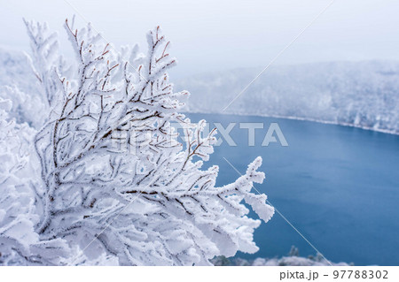 大浪池の樹氷(4) 97788302