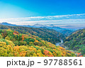 富士山と八ヶ岳の紅葉 97788561